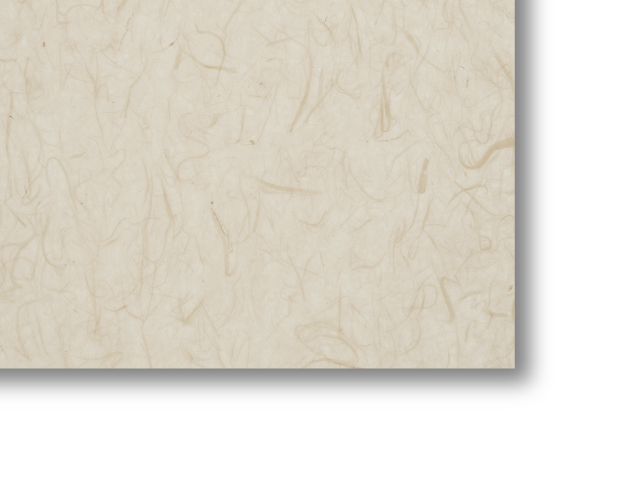 カットサンプル画像