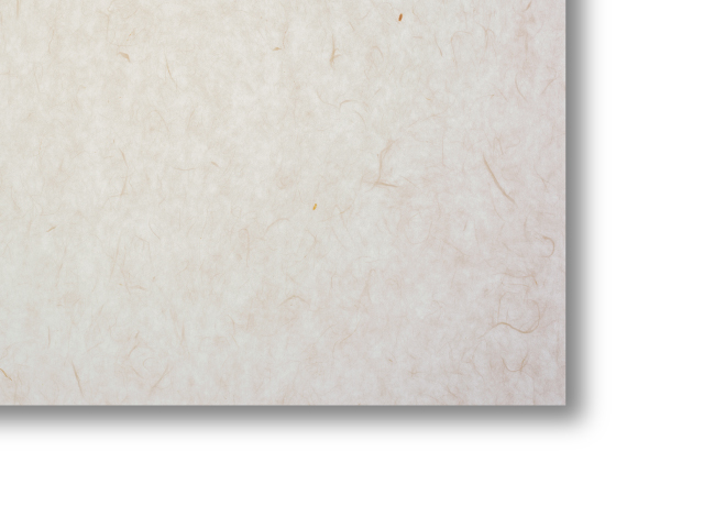 カットサンプル画像