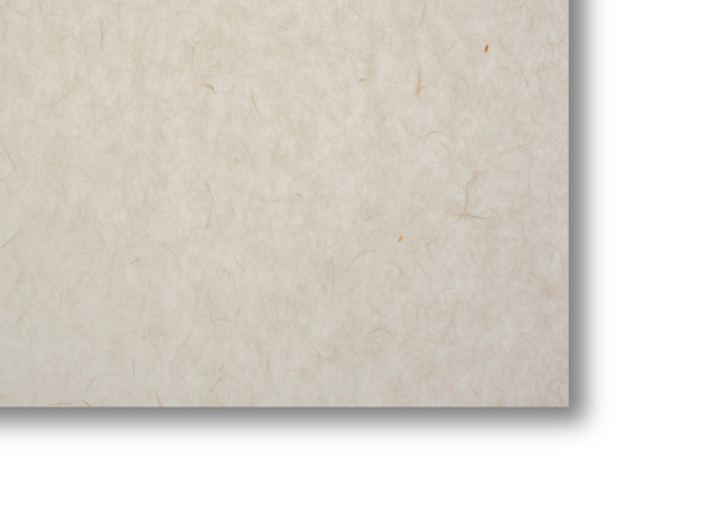 カットサンプル画像