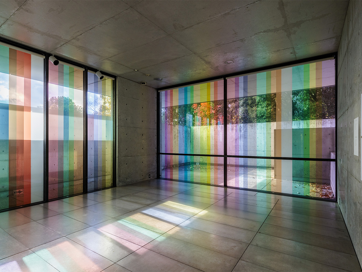 流 麻二果　讃岐の色　香川の色